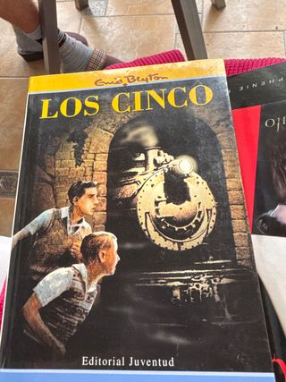 Los cinco van de camping