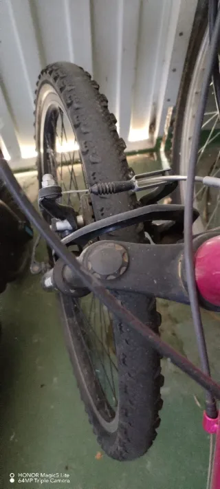 Bicicletas Montaña (2 unidades)