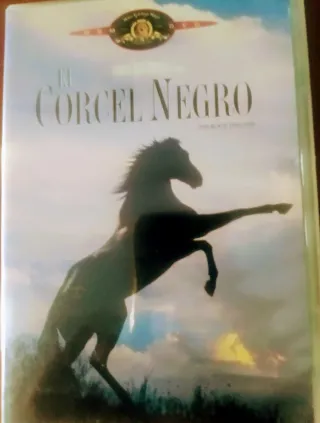 DVD original película El Corcel Negro