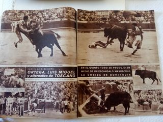 Revistas antiguas El Ruedo