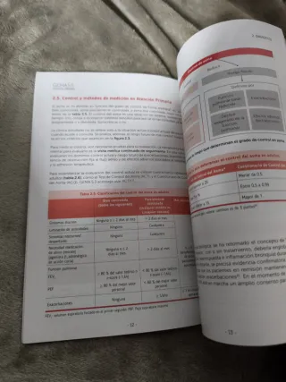 Guia española para el manejo del asma