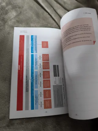 Guia española para el manejo del asma