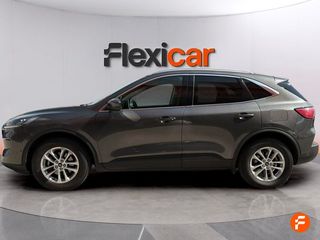 Ford Kuga ST-Line 1.5 EcoBlue 88kW (120CV)