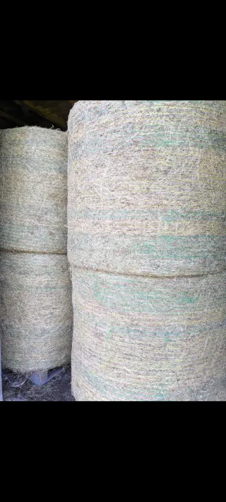 Rollos de hierba seca