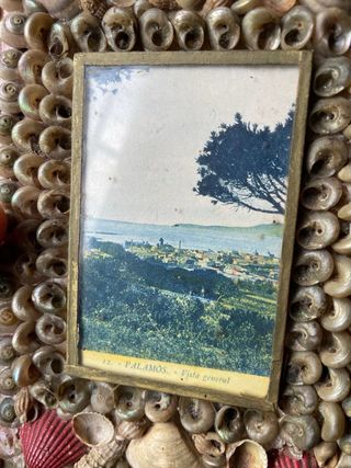 Postal Palamós con marco de conchas