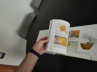 Libros decoración frutas y verduras