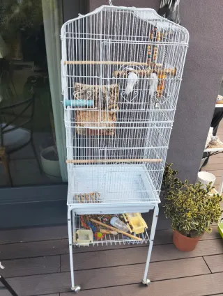 Pack Jaula para Pájaros Más fotos por privado