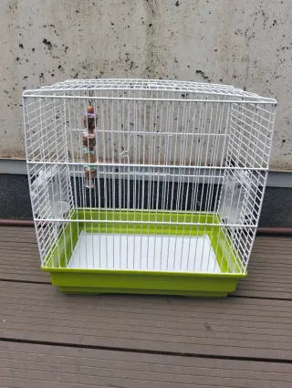 Pack Jaula para Pájaros Más fotos por privado