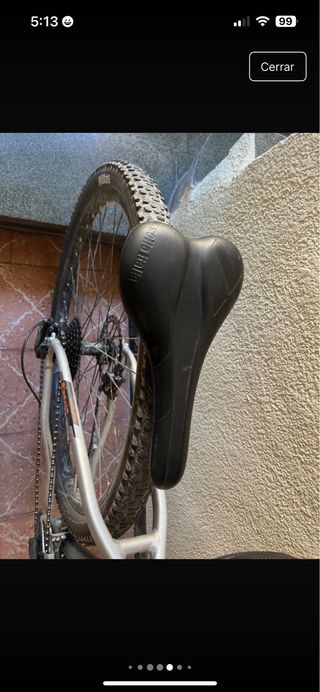 Bicicleta de montaña plateada