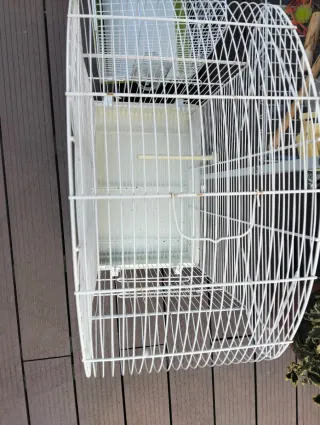 Jaula para pájaros blanca