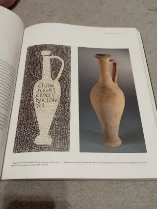 Pompeya catástrofe bajo el Vesubio