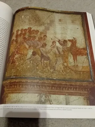 Pompeya catástrofe bajo el Vesubio