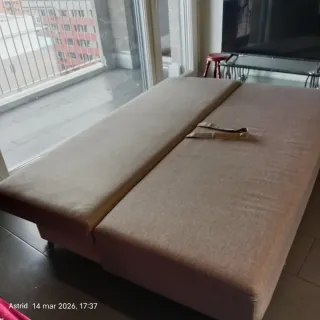 Sofá Cama Color Gris Buen Estado