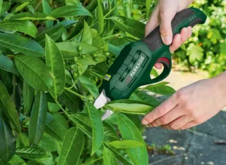 Forbici da potatura senza fili PARKSIDE