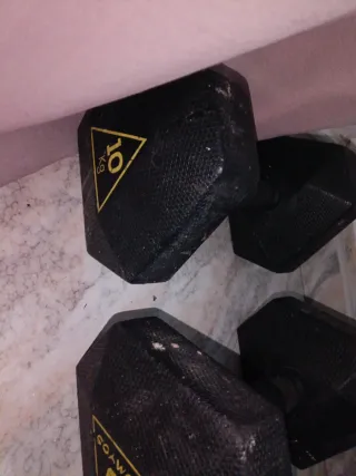 Pesas de 10 kg (par)