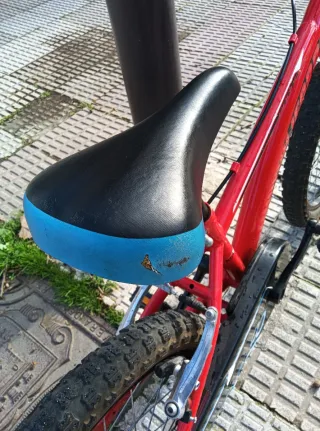 Bicicleta Infantil California 18