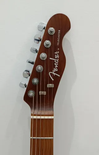 Telecaster SQOE SETL900 HH Roasted  Customizada