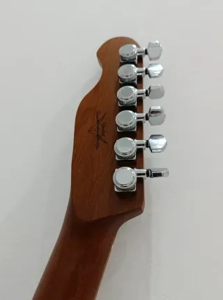 Telecaster SQOE SETL900 HH Roasted  Customizada