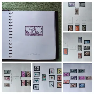 Álbum MNH Edifil Lujo Colonias África