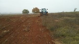 Sembradora directa agrícola