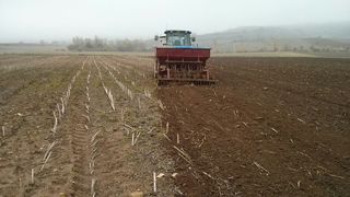 Sembradora directa agrícola