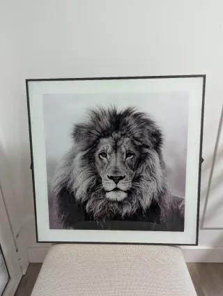 Cuadro León en Blanco y Negro