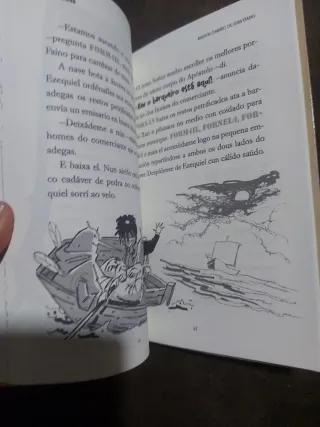 Formigas. Misión Camiño de Santiago