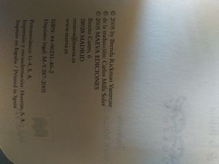 El maestro iluminador: En la tradición de novel...