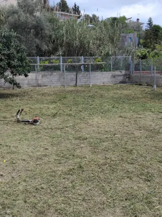 Desbroces 631 747 343