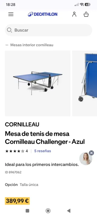 Mesa Ping Pong Cornilleau 100 Indoor