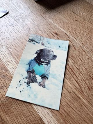 Impresora portátil Lifeprint + 110 papeles ZINK