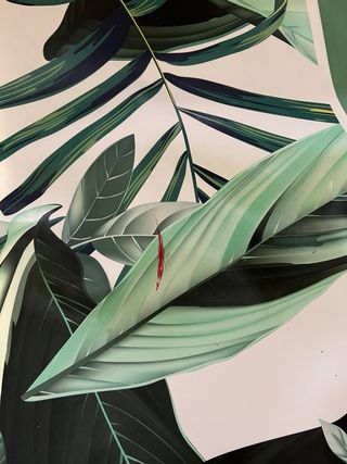 Tabla Paddle Surf FITFIU + Accesorios