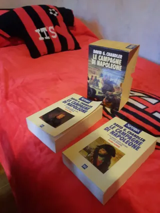 Le campagne di Napoleone