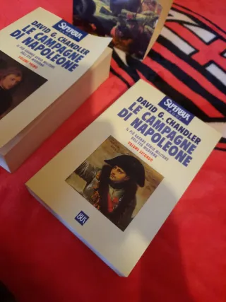 Le campagne di Napoleone