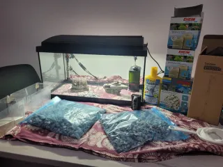 Pecera completa con accesorios