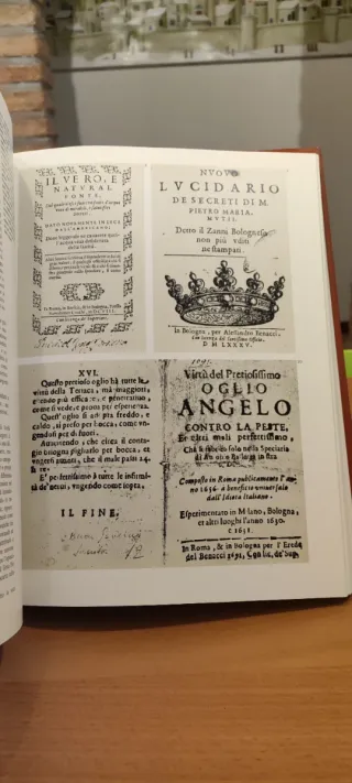 Cultura popolare nell'Emilia Romagna medicina erbe