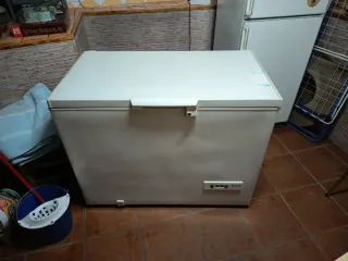 Arcón Congelador Ignis ICF330