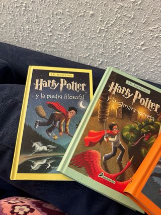 Harry Potter Y La Piedra Filosofal