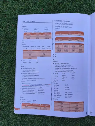 133 ejercicios de catalán vacaciones 4to primaria