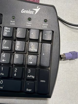 Teclado y ratón conexión PS/2.