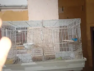 Jaula para pájaros plateada y blanca