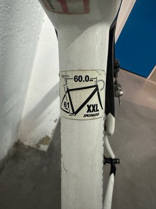 Specialized Roubaix XXL (Talla 61) - Carbono y Ult