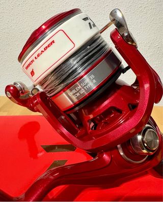 Carrete Daiwa Emblem Surf 35 SCW QD Type R 2023