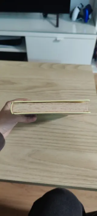 Harry Potter Y La Piedra Filosofal