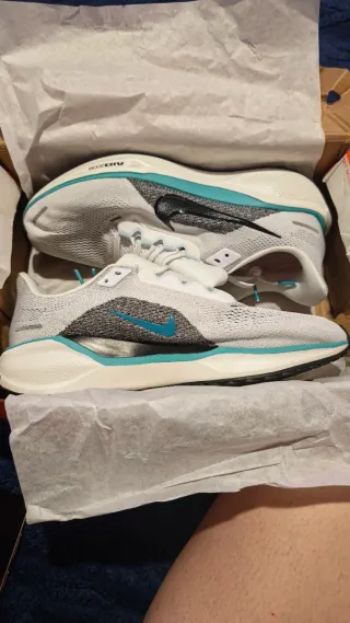 Nike Pegasus 41 Talla 43