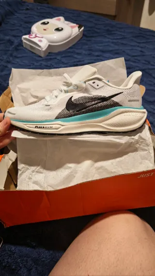 Nike Pegasus 41 Talla 43