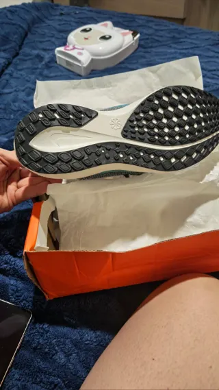 Nike Pegasus 41 Talla 43