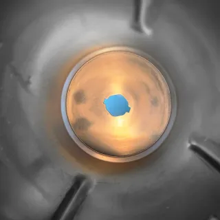 Thermomix TM31 - Vaso