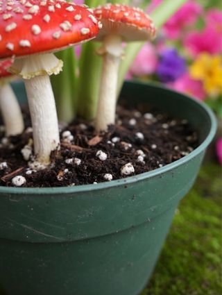 Figuras 3 Setas Decorativas Amanita muscaria