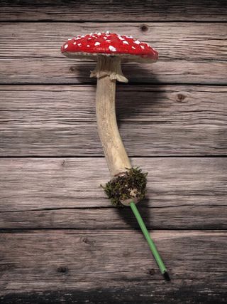 Figuras 3 Setas Decorativas Amanita muscaria